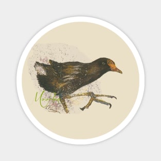 Running with moorhens Magnet